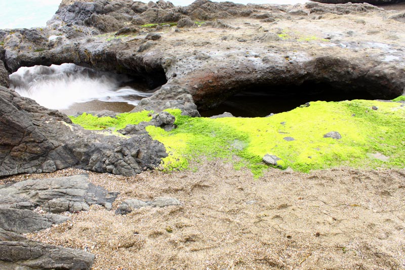 Serene and Surreal at Yachats, Where Oregon Coast Drama A Constant | Video