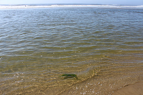 Note the deeper area you must wade through to get to the main breakers a ways away. Be cautious of spots like this.