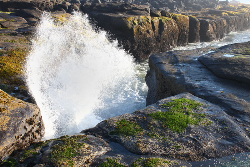 Yachats' 804 Trail Full of Drama - and a Rousing, Tense History on Oregon Coast 