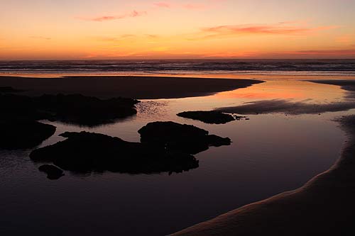 Yachats and Florence in May: Lighting Up the Oregon Coast for Spring