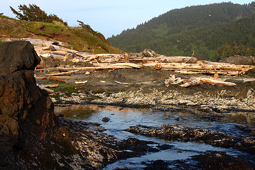 Yachats next to the bay