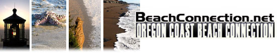 Oregon Coast Beach Connection: Oregon Coast Travel, Vacation Guide, Beach Secrets, Lodging, Rentals, Dining, Entertainment, Events Calendar, Daily Oregon Coast Travel Articles, Oregon Coast Lodging and Restaurants, Real Estate, Family Travel, Wine, Day Trips, Pets, Oregon Coast Weather, Oregon Coast Map, Mileage, Timeshare, Oregon Coast Things To Do, Pictures