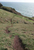 Forbidden Cliffs Near Manzanita